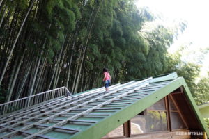 アートハウスの屋根に登る子