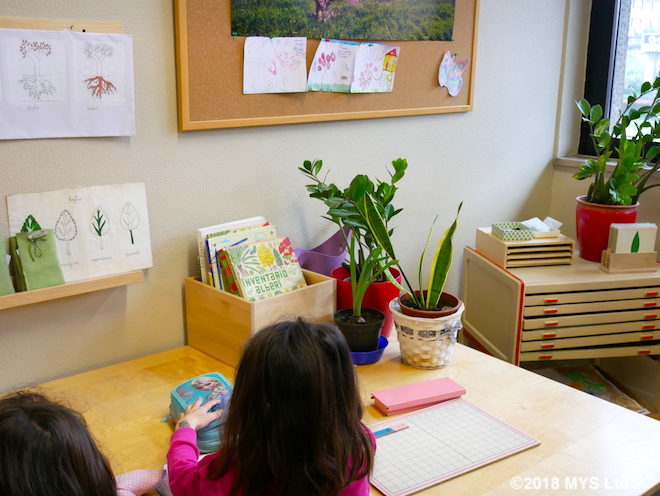 植物について学ぶ場所