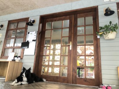 Taipei Utopia Montessori Elementary School の入口と犬