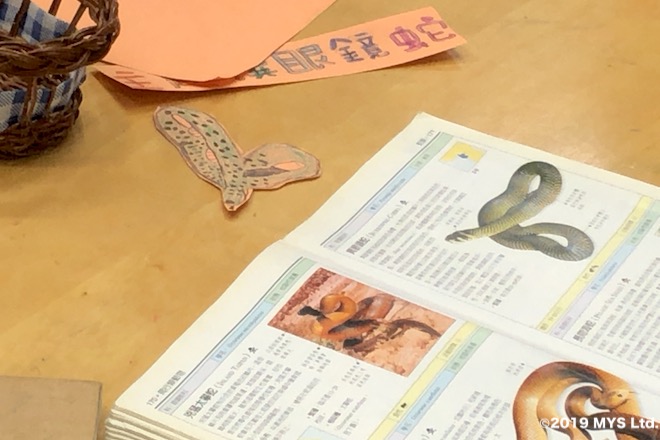 Taipei Utopia Montessori Elementary School で生徒が図鑑の蛇を写した絵