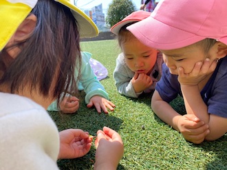 芝生に寝そべり、お花を囲むこどもたち