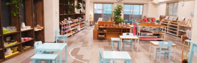 472405758_523240954068297_3967